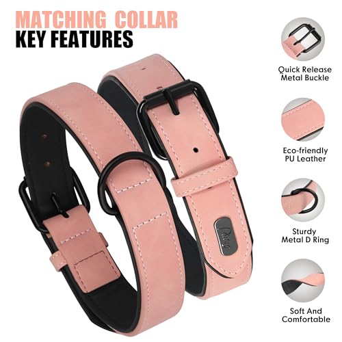 Didog Animal Collar in M: Fit Neck 11-14"(10-20 lbs), Pink Set
