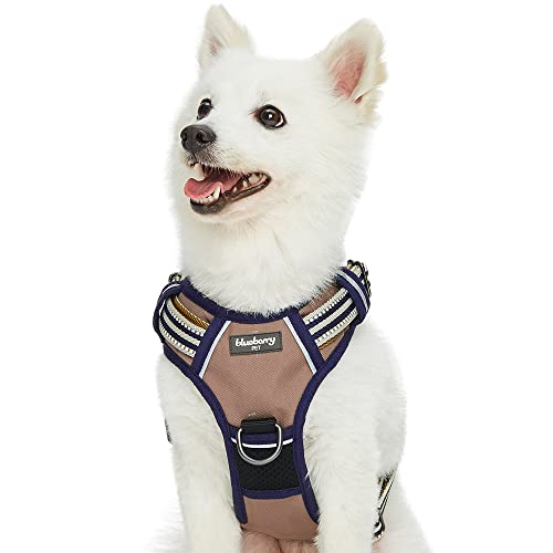 Blueberry Pet Animal Harness in Small, Dark Green&Pink