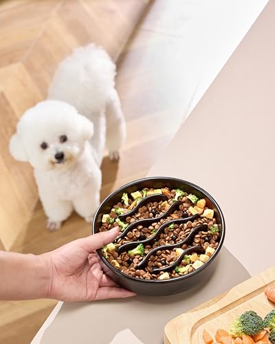 MOPANG Pet Feeder in 8 Inches, Black