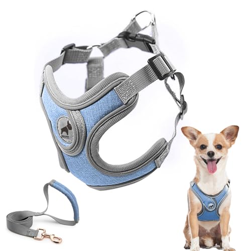 SAEGYPET Animal Harness in XS, Blue