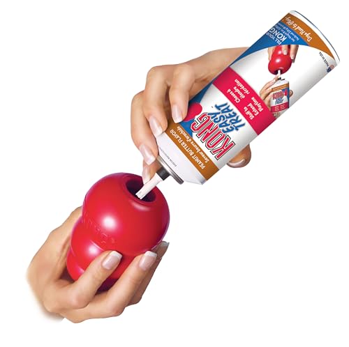 KONG Pet Toy in Medium (Pack of 1), Red
