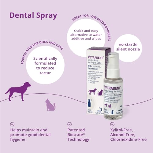 Vetradent Pet Supplies in 2oz, Clear