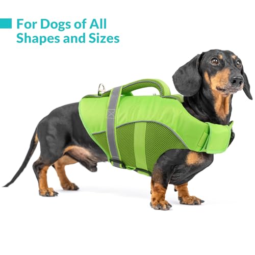 Queenmore Pet Apparel in X-Small, Green