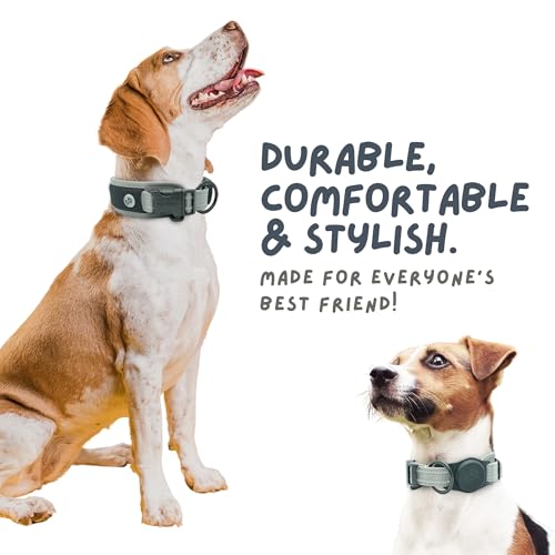 WaggyLife Animal Collar in XS (11.8"-13.8"), Grey