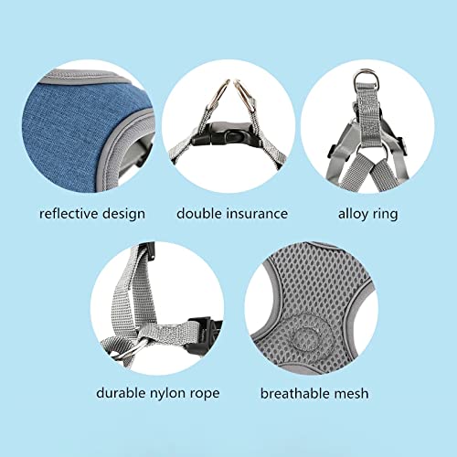 SAEGYPET Animal Harness in XS, Blue