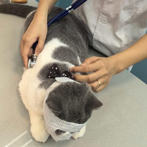 FDANDADE Pet Supplies in S, Open-eyes