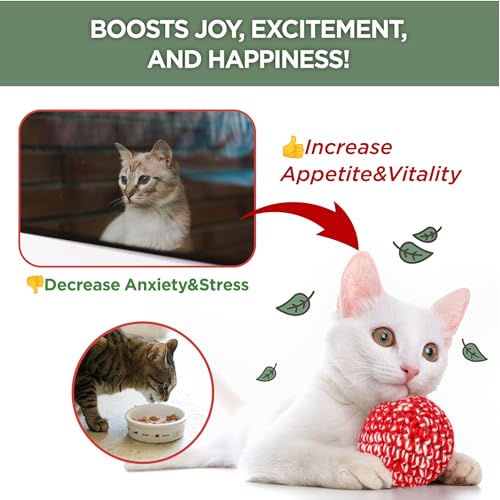 JAYU PET Pet Toy in 1fl oz, Catnip
