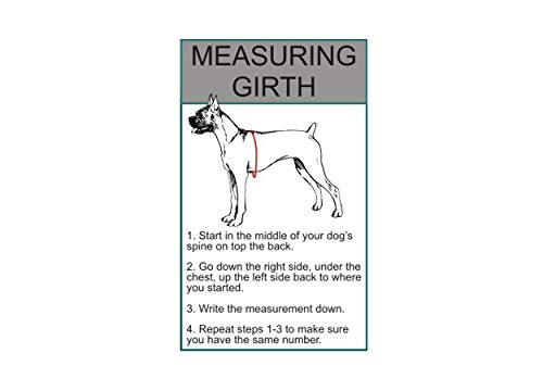 Doggie Stylz Fabric Applique Patch in Small 3"x1", Black