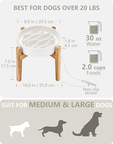 MOPANG Pet Feeder in 6 Inches, White + Stand