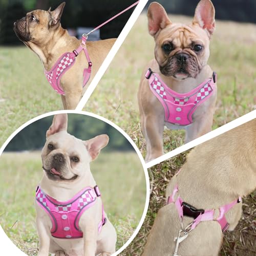SAEGYPET Animal Harness in Medium, Pink (denim)