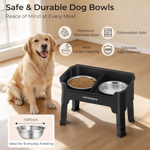 URPOWER Pet Feeder in Medium, Black