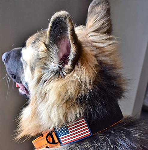 DEZIZEUSK9 Animal Collar in 16-25 INCH, ORANGE-COBVEL2