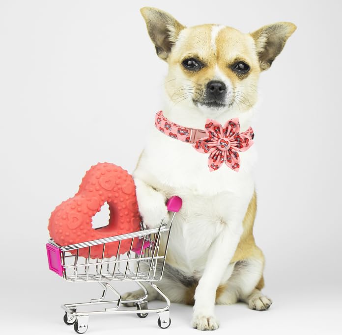 Unique style paws Animal Collar in XS, mom love-flower