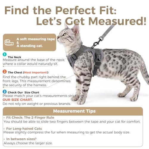 pangdi Animal Harness in Small, Grey