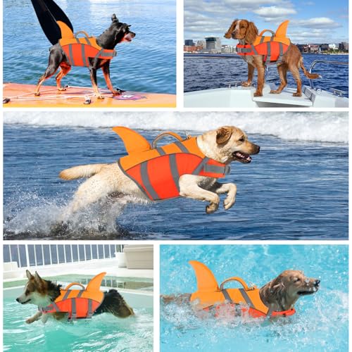 Doglay Pet Apparel in X-small, Orange+Dark Orange