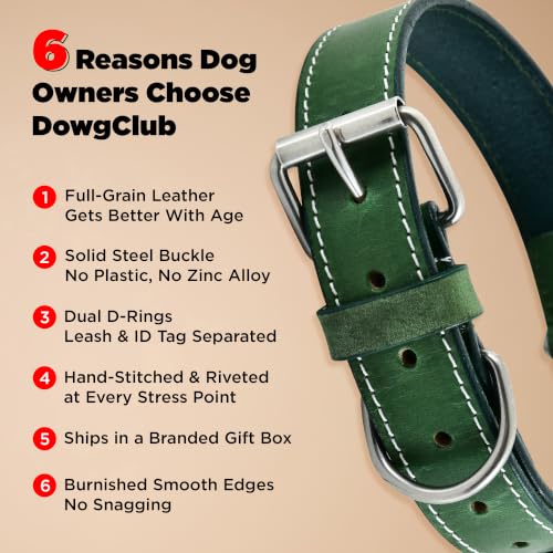 DowgClub Animal Collar in S (11"-14"), Green