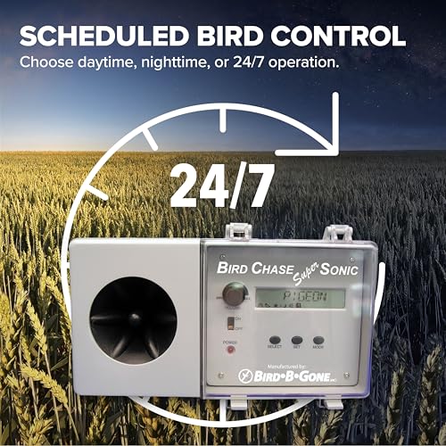 Bird B Gone Outdoor Living in 6 lb., Premium