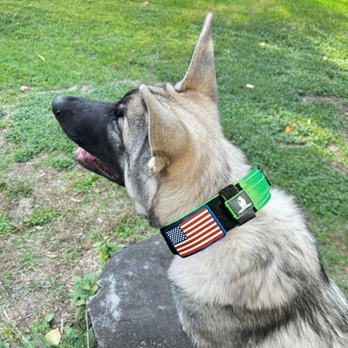 DEZIZEUSK9 Animal Collar in 16-25 INCH, NEONGREEN-COBVEL2