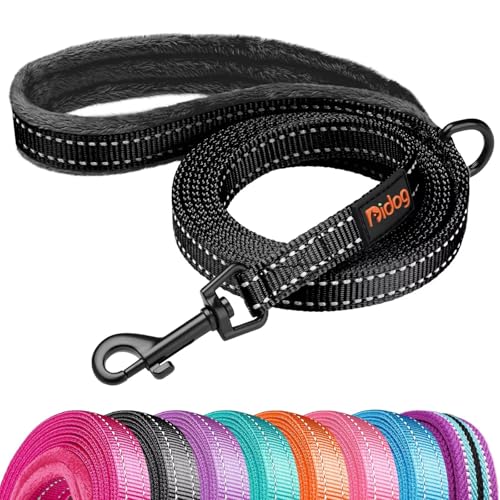 Didog Leash in 5/8''x 6 FT, Black