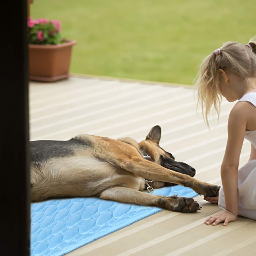 MeiLiMiYu Pet Bed Mat in 16x12 in, Blue