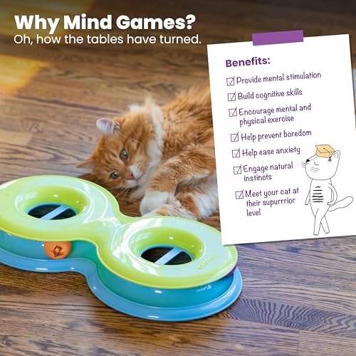 Catstages Pet Toy in One-Size, Infinity Track