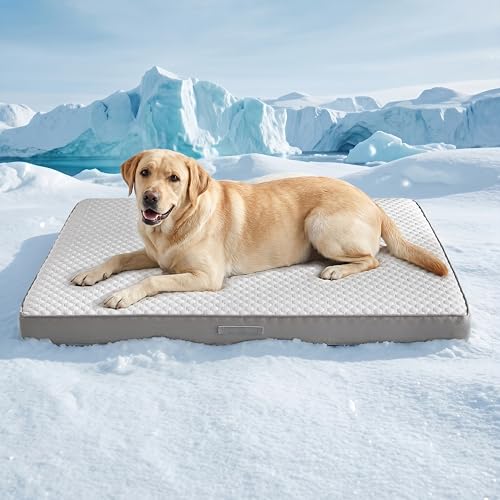 WDCOZY Pet Bed Mat in X-Large(41"x27"), Cooling-Grey