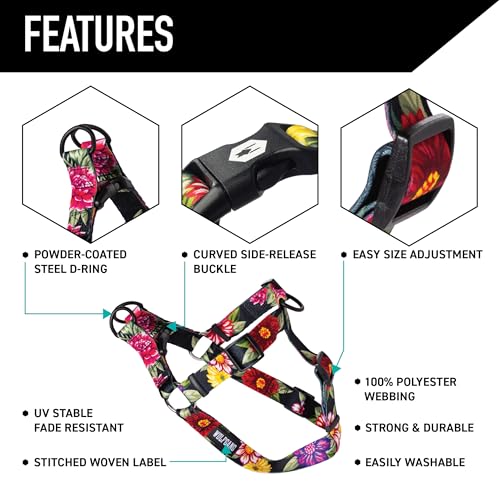 Wolfgang Man & Beast Animal Harness in Small (5/8 Inch x 12-18 Inch), DarkFloral Print