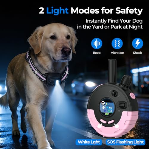 RPZ Animal Collar in 1 Receiver, Pink