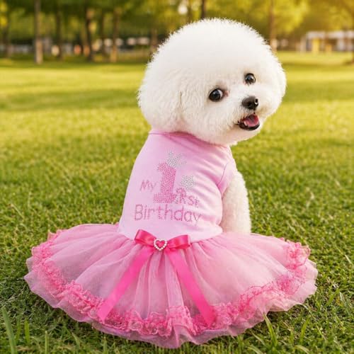 Petitebella Pet Apparel in X-Small, Pink/Pinks Lace