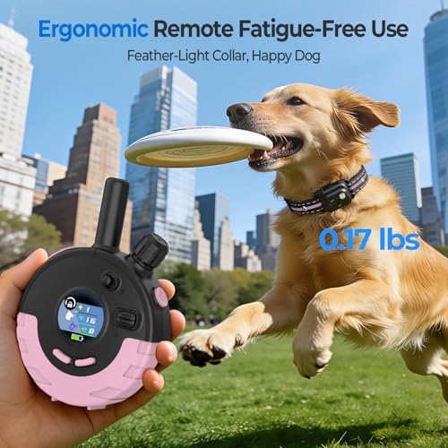 RPZ Animal Collar in 1 Receiver, Pink