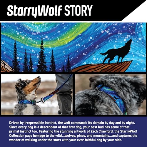 Wolfgang Man & Beast Animal Collar in Small (5/8 Inch x 8-12 Inch), StarryWolf Print