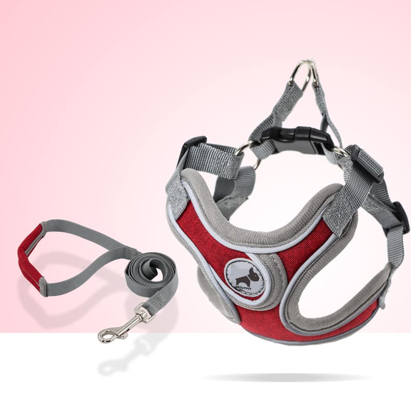 SAEGYPET Animal Harness in S, Red