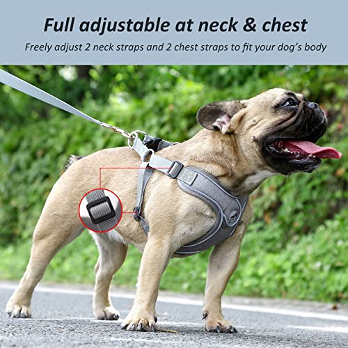 SAEGYPET Animal Harness in XS, Gray