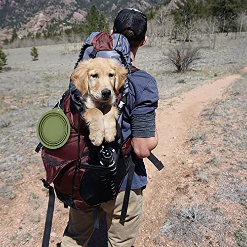 SLSON Pet Feeder in Avocado Green+Dark Green
