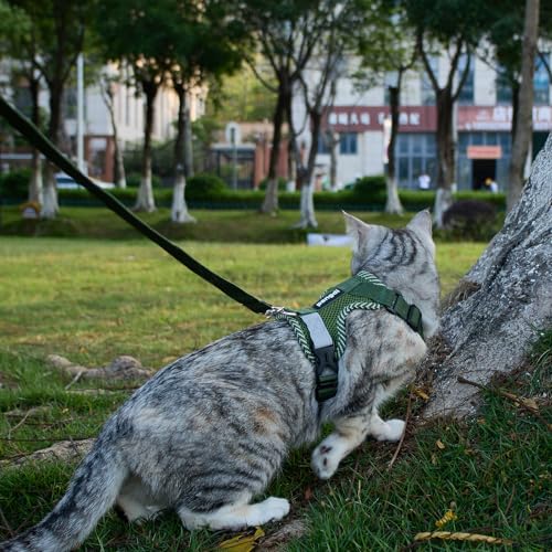 pangdi Pet Supplies in Small, Dark Green