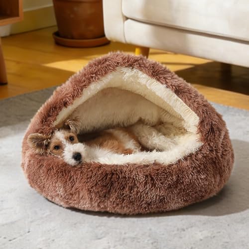 NOYAL Pet Bed Mat in X-Small 15.7'', Bandhnu Coffee