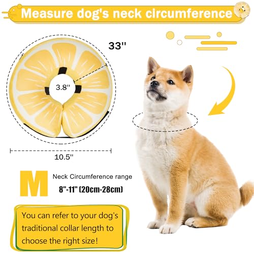 Cneo Animal Recovery Collar Cone in M（neck 8"-11"）, Lemon