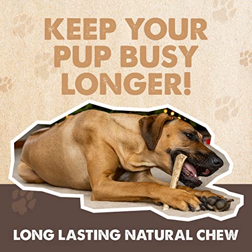 Mighty Paw Pet Toy in 1 Whole Large, White