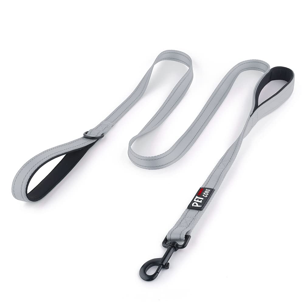 PLUTUS PET Leash in 4 FT, Gray