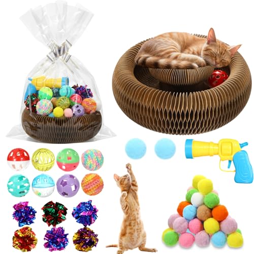 Zopeal Pet Activity Structure in colorful