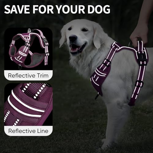 HEELE Animal Harness in S, Purple(Matching Trim)