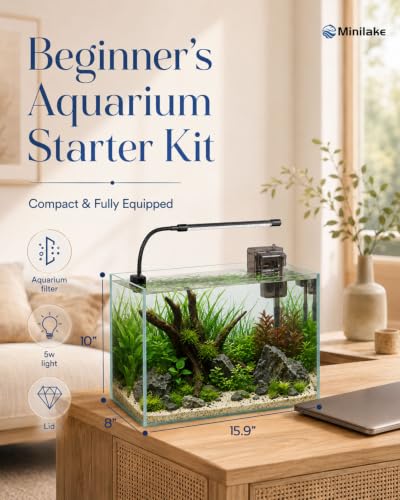 minilake Vivarium in 5 Gallon, Transparent