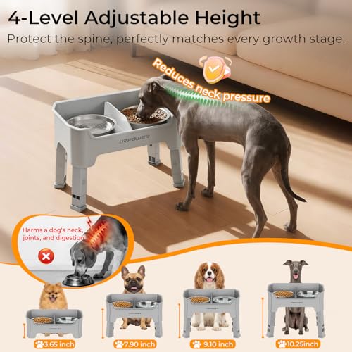 URPOWER Pet Feeder in Small, Light Grey