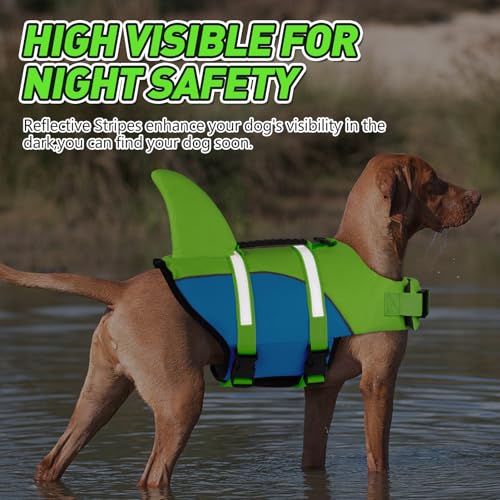 Doglay Pet Apparel in X-small, Fluorescent Green & Blue