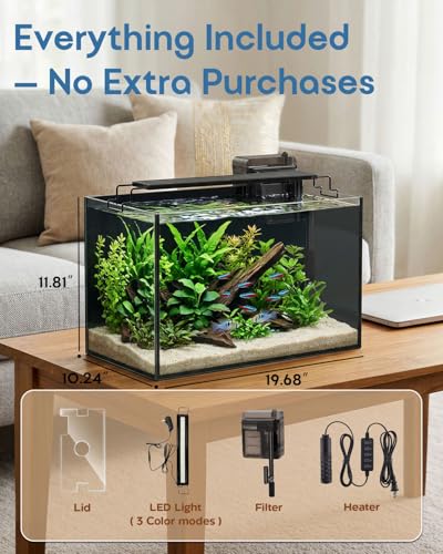 minilake Vivarium in 10 Gallon, Black