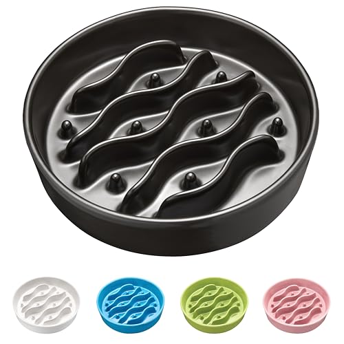 MOPANG Pet Feeder in 8 Inches, Black