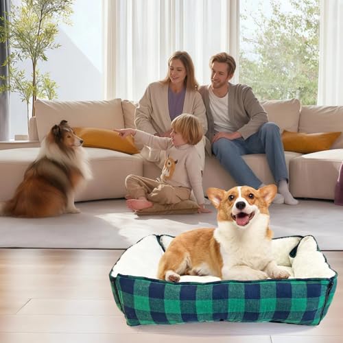 LIFFY Pet Bed Mat in Blue-green