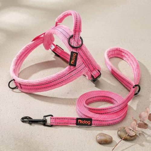 Didog Leash in 5/8''x 6 FT, Pink