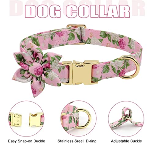 Beirui Animal Harness in XS:Fit 6-12 lbs, Pink-1
