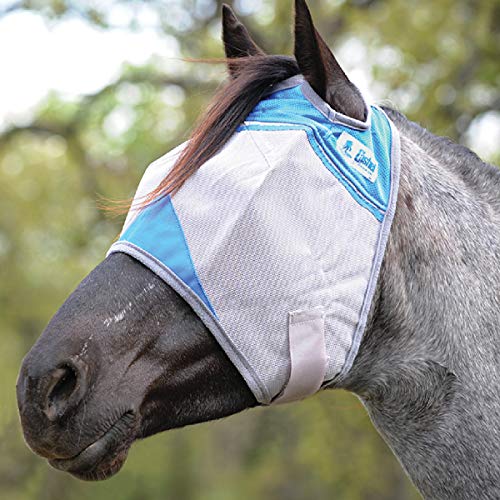 Cashel Pet Pest Control in Small, Blue